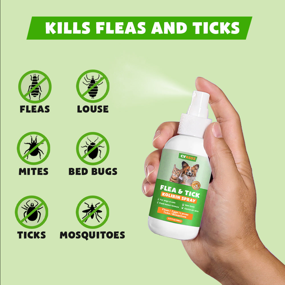 Cvreoz™ Flea & Tick Kolirin Spray 🐾 70% Limited Discounts 🔥