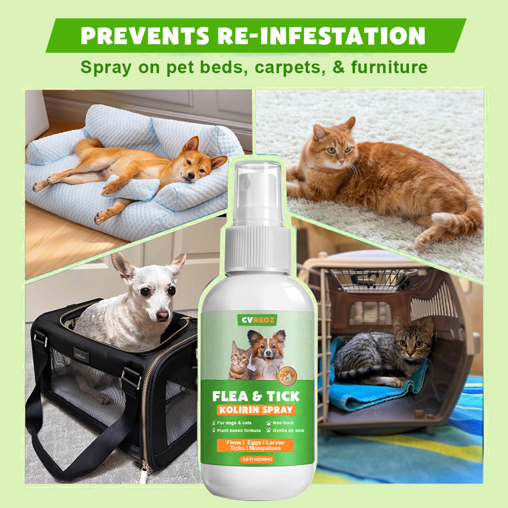 Cvreoz™ Flea & Tick Kolirin Spray 🐾 70% Limited Discounts 🔥